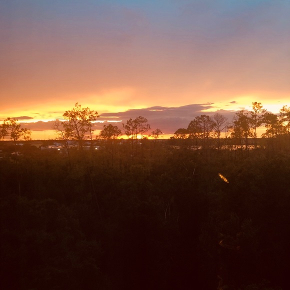 Meet your Posher, Kelly - Picture 1 of 1